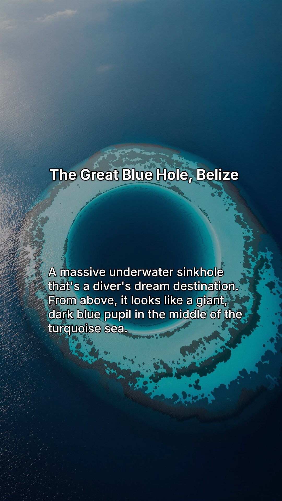 Slide 7