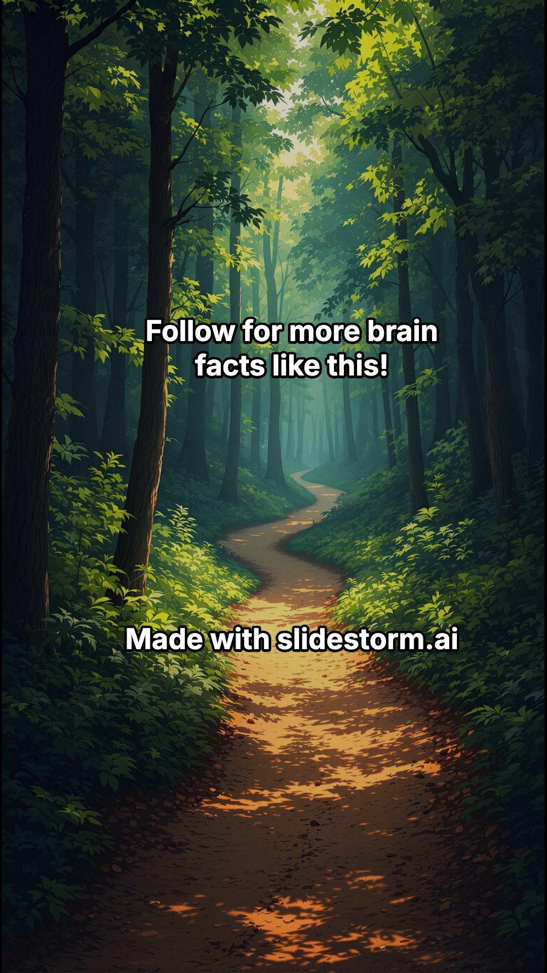 Slide 7